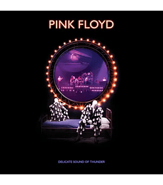 PINK FLOYD  --  DELICATE SOUND OF THUNDER -- 3 VINILOS