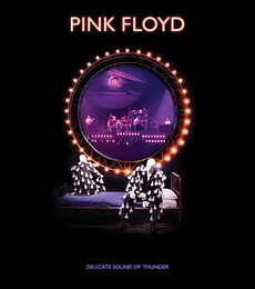 PINK FLOYD  --  DELICATE SOUND OF THUNDER -- 3 VINILOS