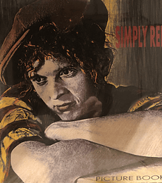 SIMPLY RED ----  PICTURE BOOK------VINILO