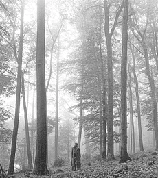 TAYLOR SWIFT  - FOLKLORE  - 2 VINILOS