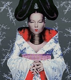BJORK----HOMOGENIC---------------VINILO