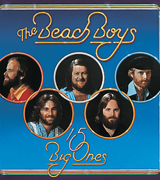 THE BEACH BOYS ------- 15 BIG ONES