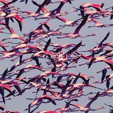 DEFTONES ------- GORE 2 VINILOS