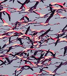 DEFTONES -------    GORE                         2  VINILOS