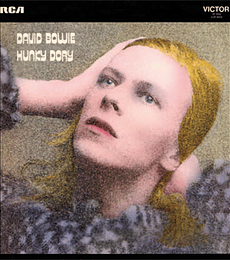 DAVID BOWIE -----------  HUNKY DORY