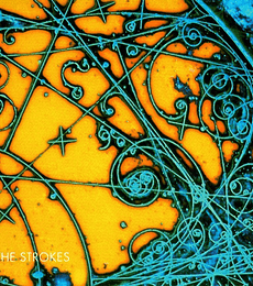 THE  STROKES -- IS THIS IT - VINILO