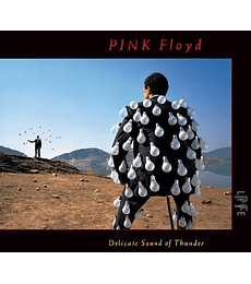 PINK FLOYD ------ DELICATE SOUND OF THUNDER ----- CD