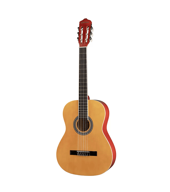 GUITARRA WOODSOUL L-L39