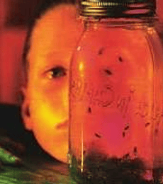 ALICE IN CHAINS ‎------------------- JAR OF FLIES  CD