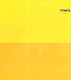 GUSTAVO CERATI – AMOR AMARILLO  -  CD