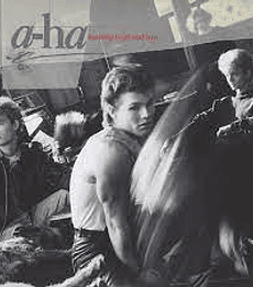 A-HA -------- HUNTING HIGH AND LOW  - VINILO