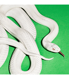 DEFTONES - PRIVATE MUSIC --- CD