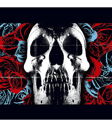 DEFTONES --  DEFTONES --VINILO