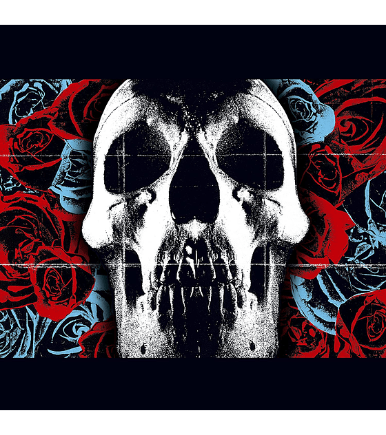 DEFTONES --  DEFTONES --VINILO