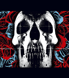 DEFTONES --  DEFTONES --VINILO