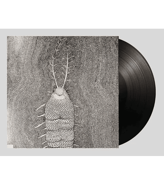 DANIEL MELERO - QUALIA / MICROGRAFÍA  -- VINILO