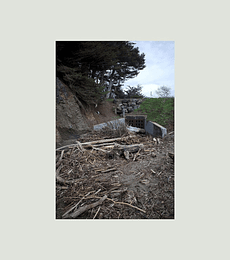 MAC DEMARCO - FIVE EASY HOT DOGS --- VINILO