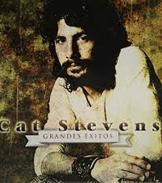 CAT STEVENS - GRANDES EXITOS - VINILO