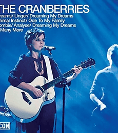 THE CRANBERRIES -- THE CRANBERRIES -- CD