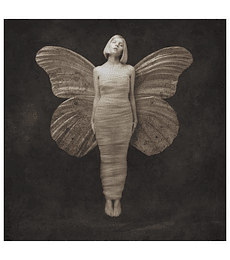 AURORA - ALL MY DEMONS GREETING ME AS A FRIEND -- VINILO