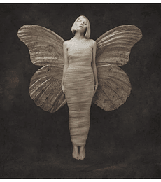 AURORA - ALL MY DEMONS GREETING ME AS A FRIEND -- VINILO