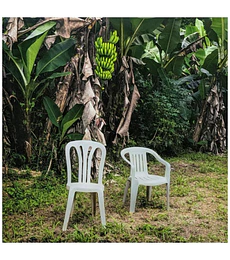BAD BUNNY - DEBI TIRAR MAS FOTOS (2LP) (WHITE VINYL) -- VINILO