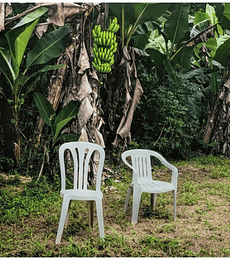 BAD BUNNY - DEBI TIRAR MAS FOTOS (2LP) (WHITE VINYL) -- VINILO