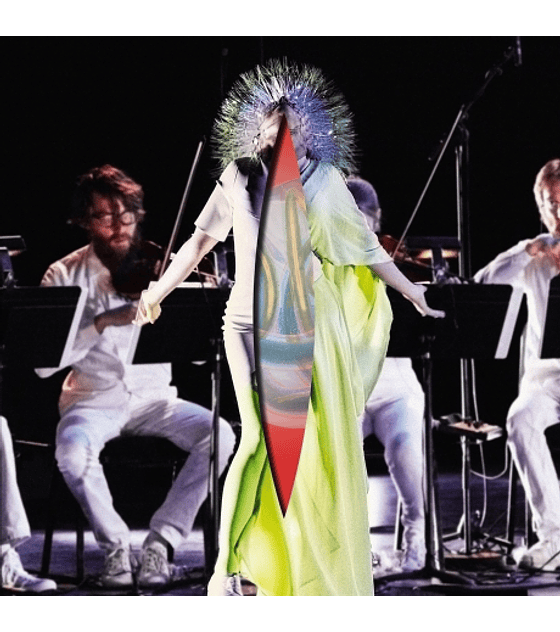 BJORK - VULNICURA STRINGS -- CD