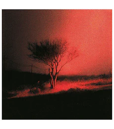 JOJI - PISS IN THE WIND -- VINILO