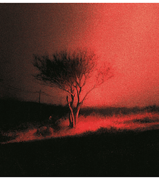 JOJI - PISS IN THE WIND -- VINILO