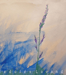 MAURICIO REDOLES -- REDOLES LAVANDA -- 2 VINILOS