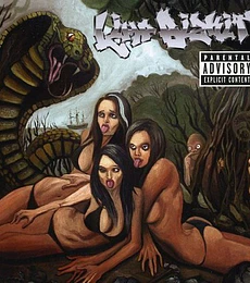 LIMP BIZKIT -- GOLD COBRA -- cd