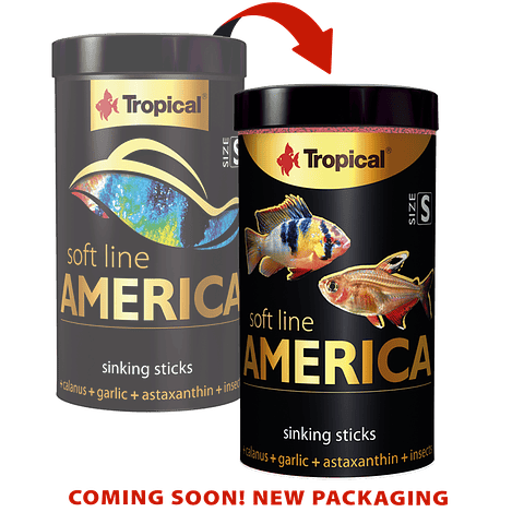 America Soft Line S  250ml / 140g