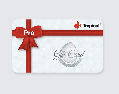 🎁 Gift Card - PRO 🎁🎁