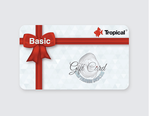 Gift Card - Basic 🎁