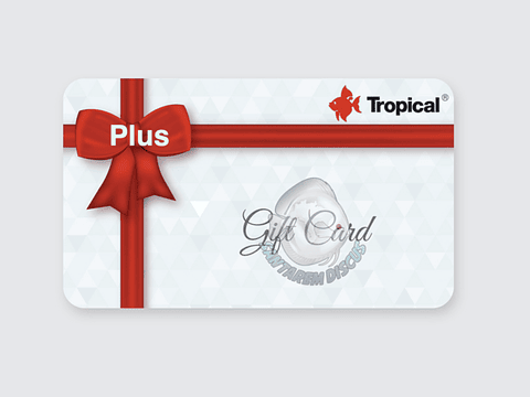 Gift Card - PLUS 🎁🎁