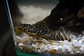 Hypancistrus sp. (L333)   10-12 cm - Thumbnail 8