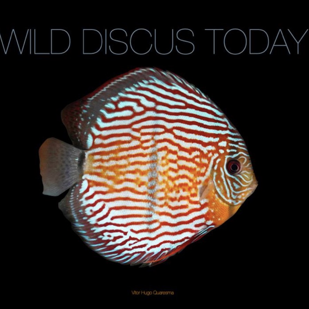 Wild Discus Today ( Edição Limitada )  1