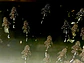 L183 Starlight Bristlenose - Ancistrus dolichopterus 2-2,5  cm - thumbnail 6