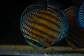 Batata Giant Semi Royal  - Thumbnail 6