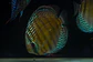 Batata Giant Semi Royal - Thumbnail 4