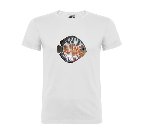 Camiseta personalizada