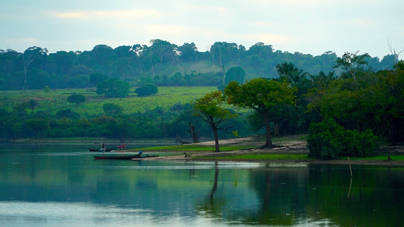 Dia 6 - Pesca de Piranhas