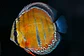 Iripixi Ica Bar - Thumbnail 5