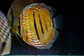 Golden Ica Bar - Thumbnail 2