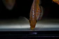 Iripixi Royal - miniatura 6