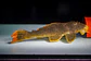 Scobinancistrus aureatus - L014 - 22-28 cm - thumbnail 6