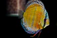 Iripixi Red Solid - thumbnail 7