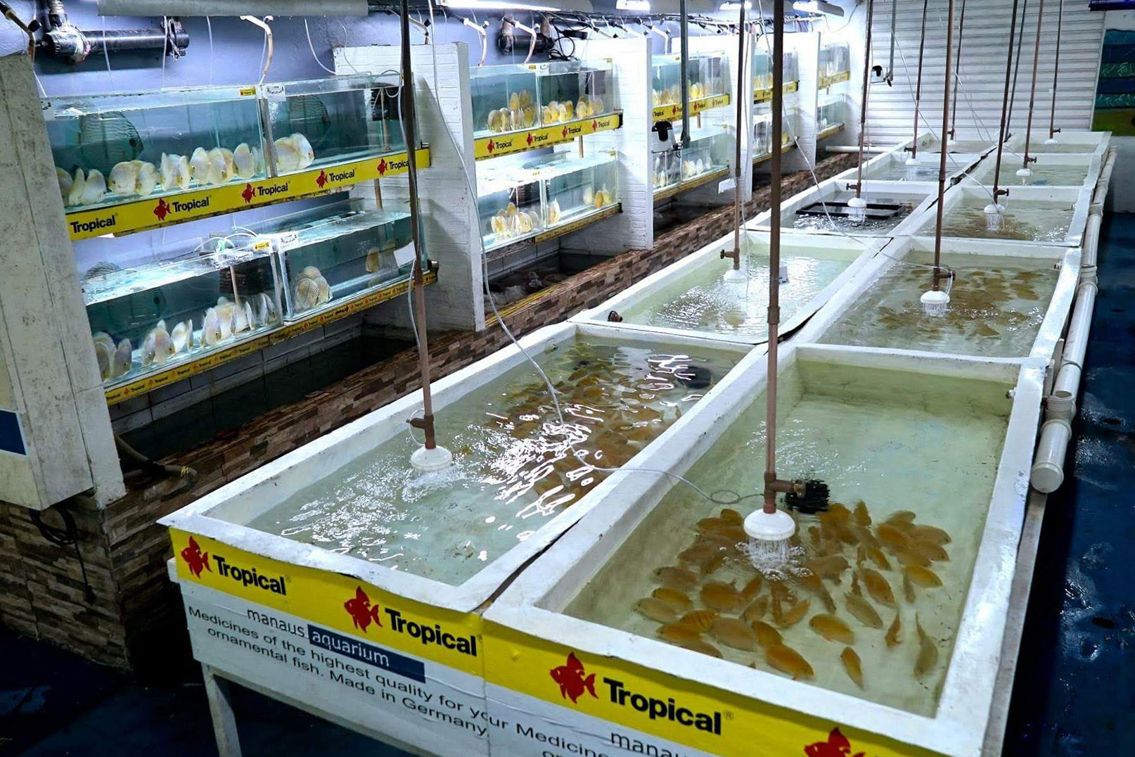 Santarem Discus Plus - New project in Europe
