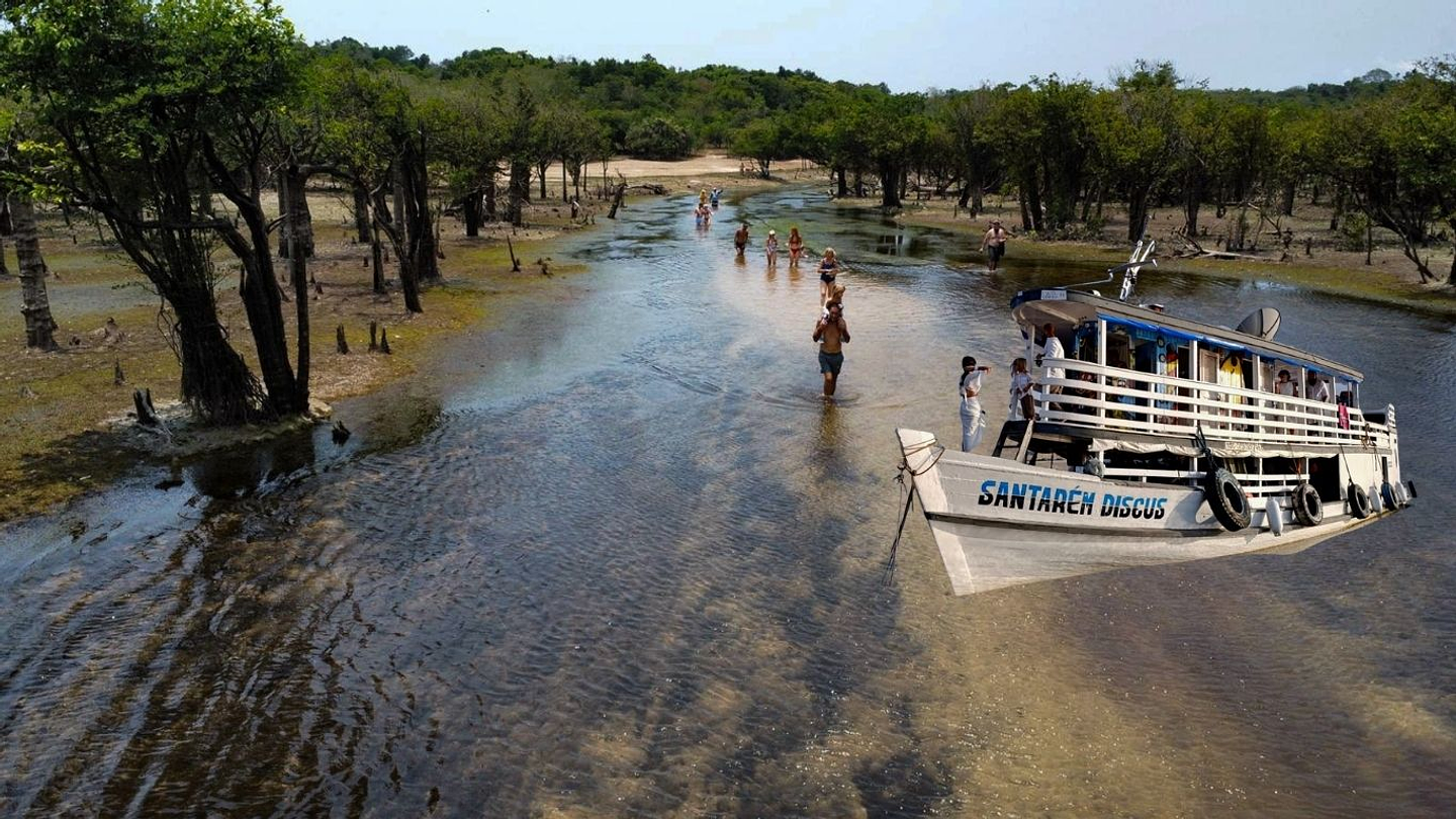 Expedições á Amazonia  <div><br></div>